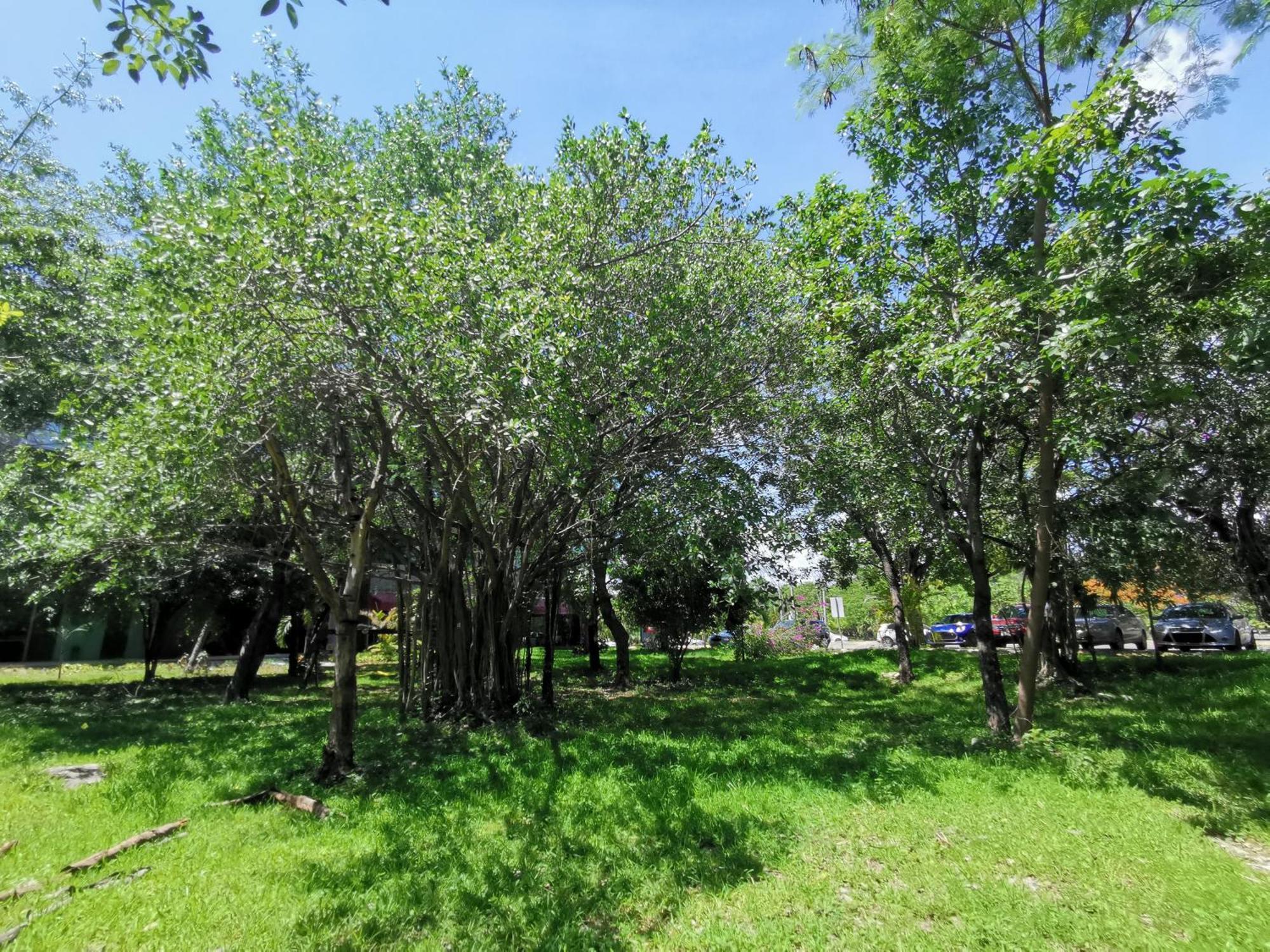 Beautiful & Cozy Near Beach Apartment Pool & Kingsize Bed Cancún Camera foto